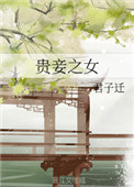 贵妾小说排行榜