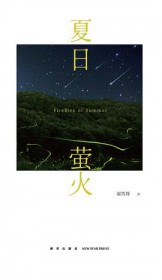 夏日萤火虫作文素材